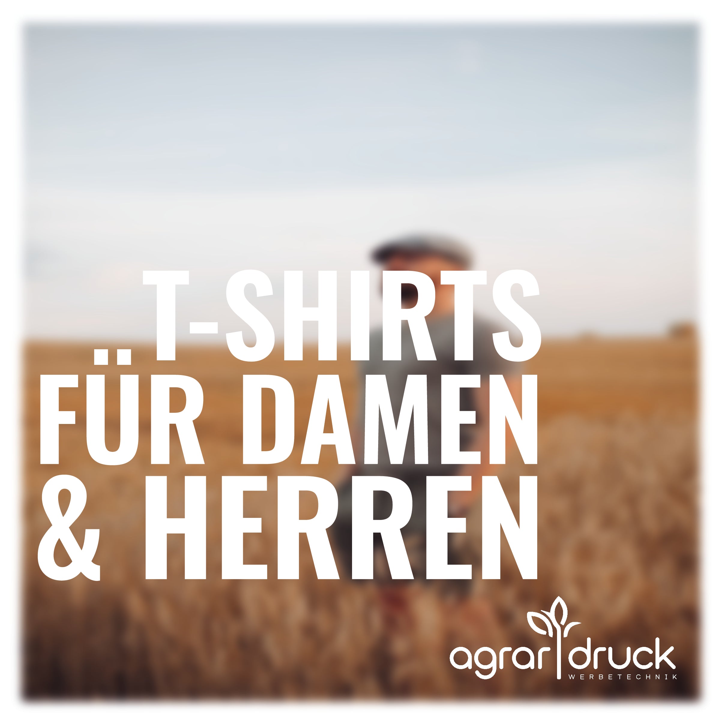 Alle T-Shirts im Überblick